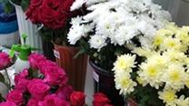  цветы и товары для садоводов